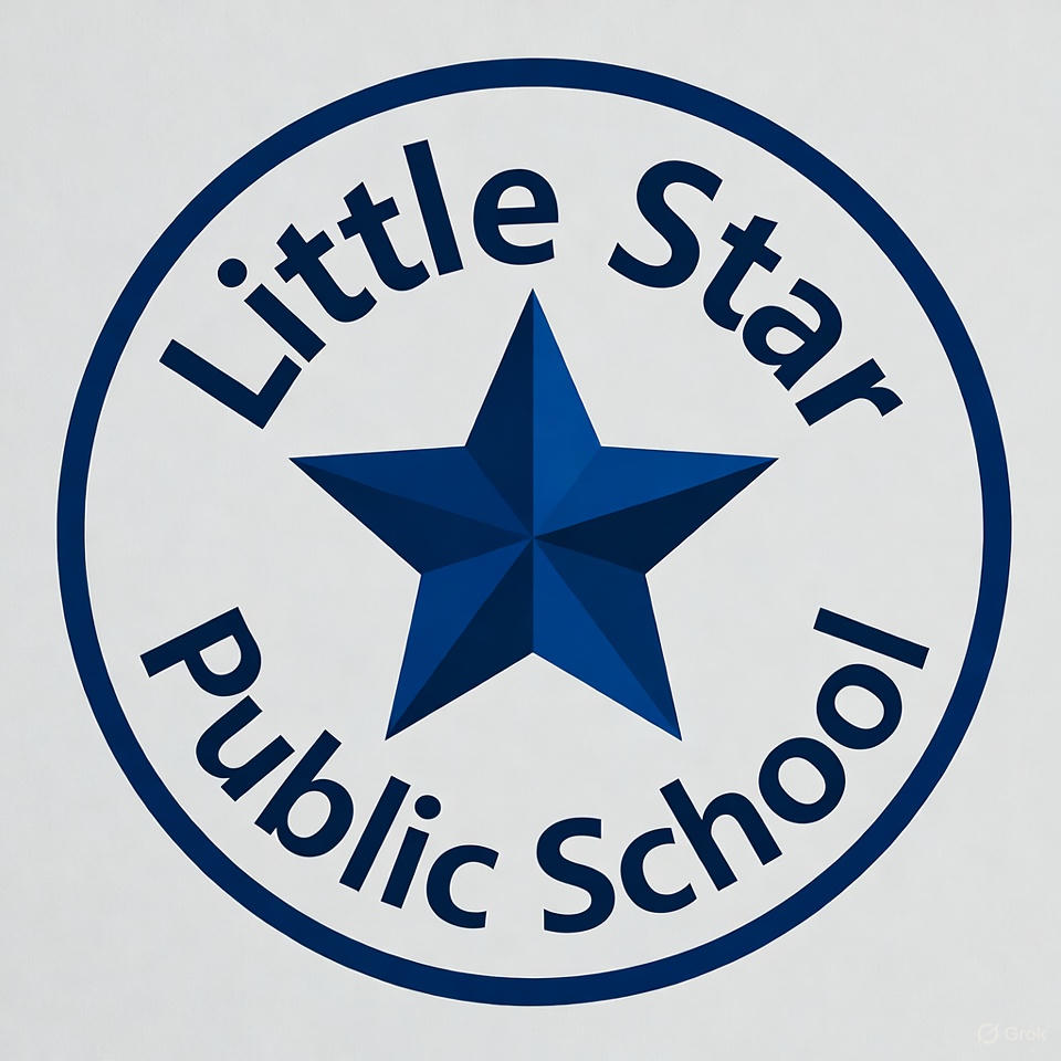 Little Star Public School Logo